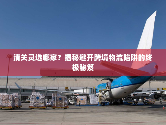 清关灵选哪家？揭秘避开跨境物流陷阱的终极秘笈
