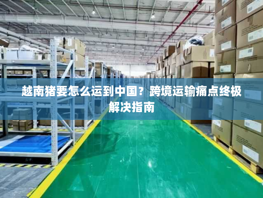 越南猪要怎么运到中国？跨境运输痛点终极解决指南