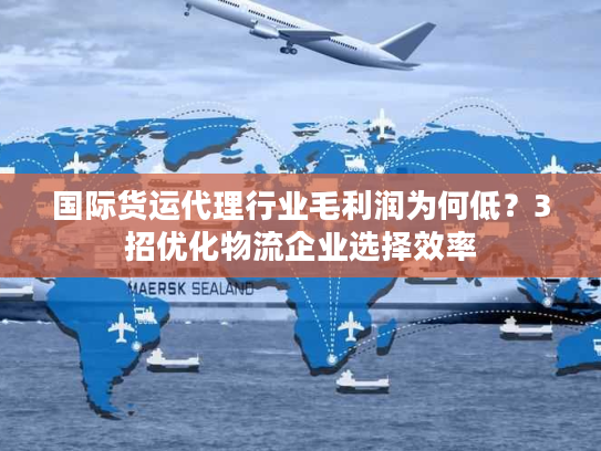 国际货运代理行业毛利润为何低？3招优化物流企业选择效率