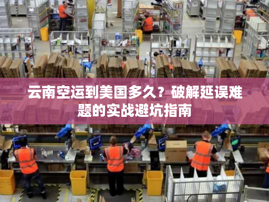 云南空运到美国多久？破解延误难题的实战避坑指南
