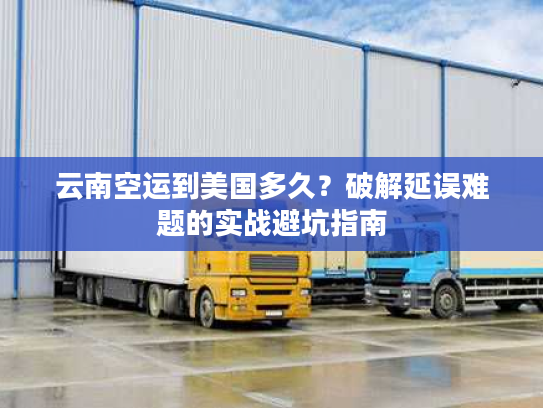 云南空运到美国多久？破解延误难题的实战避坑指南