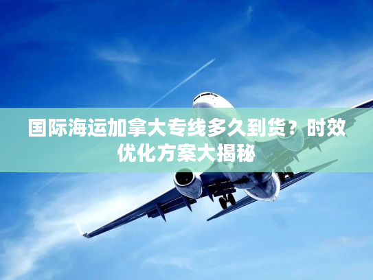 国际海运加拿大专线多久到货?时效优化方案大揭秘 国际海运加拿大专线多久到货?时效优化方案大揭秘