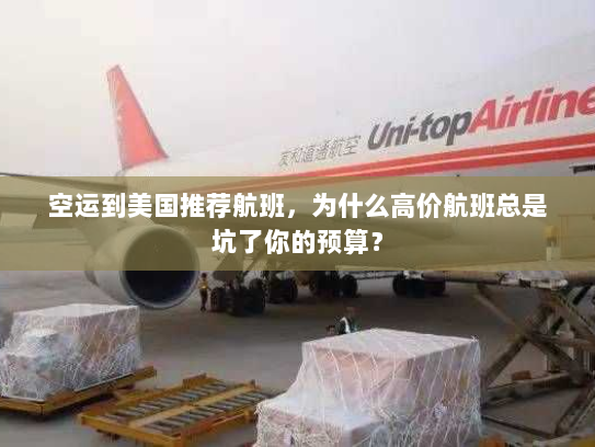 空运到美国推荐航班，为什么高价航班总是坑了你的预算？