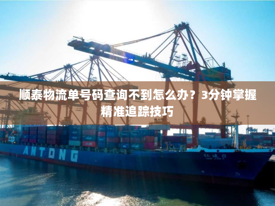 顺泰物流单号码查询不到怎么办?3分钟掌握精准追踪技巧 顺泰物流单号码查询不到怎么办?3分钟掌握精准追踪技巧