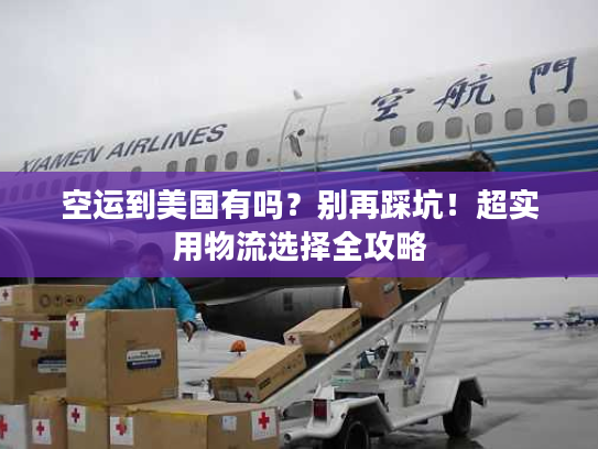 空运到美国有吗？别再踩坑！超实用物流选择全攻略