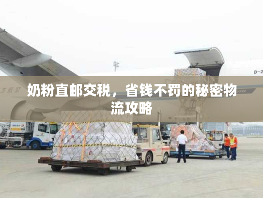 奶粉直邮交税，省钱不罚的秘密物流攻略