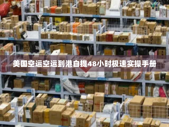 美国空运空运到港自提48小时极速实操手册