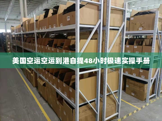 美国空运空运到港自提48小时极速实操手册