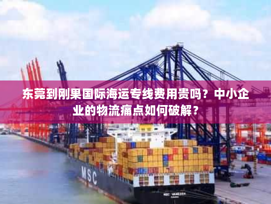 东莞到刚果国际海运专线费用贵吗？中小企业的物流痛点如何破解？