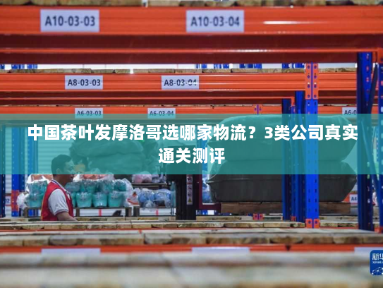 中国茶叶发摩洛哥选哪家物流？3类公司真实通关测评