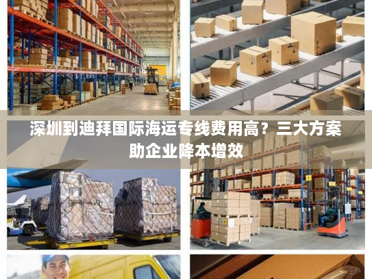 深圳到迪拜国际海运专线费用高?三大方案助企业降本增效 深圳到迪拜国际海运专线费用高?三大方案助企业降本增效