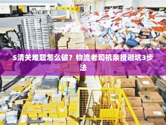S清关难题怎么破?物流老司机亲授避坑3步法 S清关难题怎么破?物流老司机亲授避坑3步法