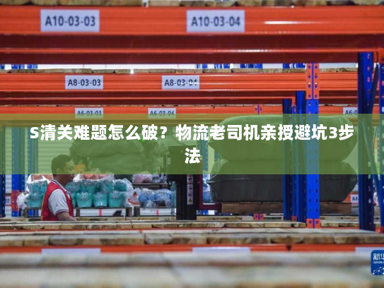 S清关难题怎么破?物流老司机亲授避坑3步法 S清关难题怎么破?物流老司机亲授避坑3步法