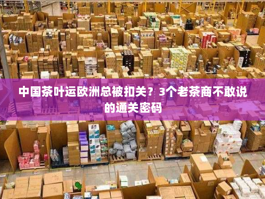 中国茶叶运欧洲总被扣关？3个老茶商不敢说的通关密码