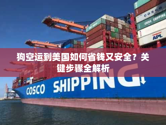 狗空运到美国如何省钱又安全？关键步骤全解析