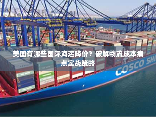 美国有哪些国际海运降价？破解物流成本痛点实战策略