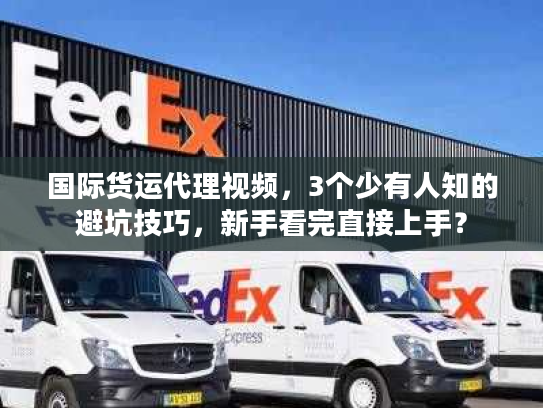 国际货运代理视频，3个少有人知的避坑技巧，新手看完直接上手？
