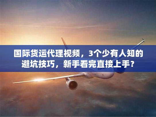 国际货运代理视频，3个少有人知的避坑技巧，新手看完直接上手？
