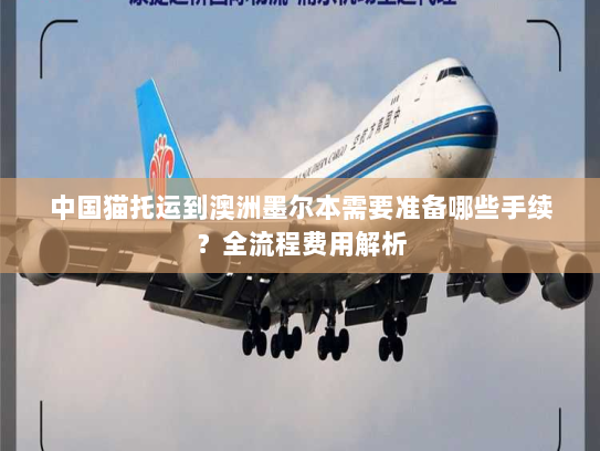 中国猫托运到澳洲墨尔本需要准备哪些手续?全流程费用解析 中国猫托运到澳洲墨尔本需要准备哪些手续?全流程费用解析