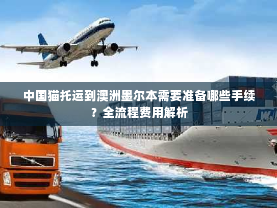 中国猫托运到澳洲墨尔本需要准备哪些手续?全流程费用解析 中国猫托运到澳洲墨尔本需要准备哪些手续?全流程费用解析