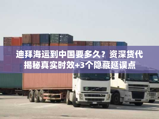 迪拜海运到中国要多久？资深货代揭秘真实时效+3个隐藏延误点