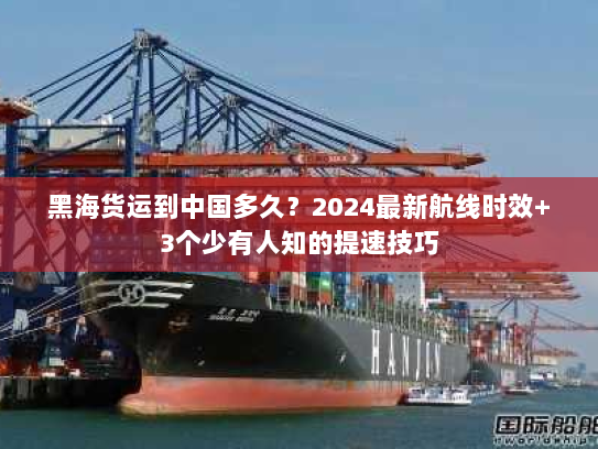 黑海货运到中国多久？2024最新航线时效+3个少有人知的提速技巧