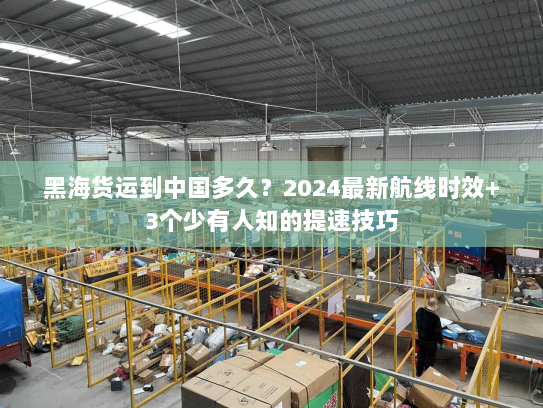 黑海货运到中国多久？2024最新航线时效+3个少有人知的提速技巧