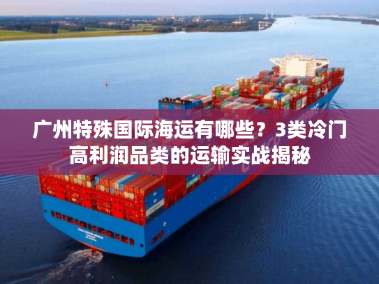 广州特殊国际海运有哪些？3类冷门高利润品类的运输实战揭秘