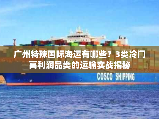 广州特殊国际海运有哪些？3类冷门高利润品类的运输实战揭秘