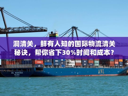 洞清关，鲜有人知的国际物流清关秘诀，帮你省下30%时间和成本？
