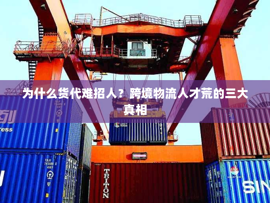 为什么货代难招人？跨境物流人才荒的三大真相