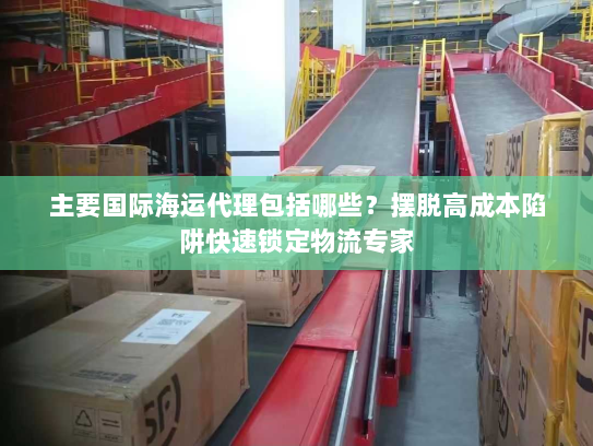 主要国际海运代理包括哪些？摆脱高成本陷阱快速锁定物流专家