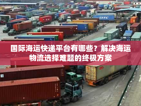 国际海运快递平台有哪些？解决海运物流选择难题的终极方案