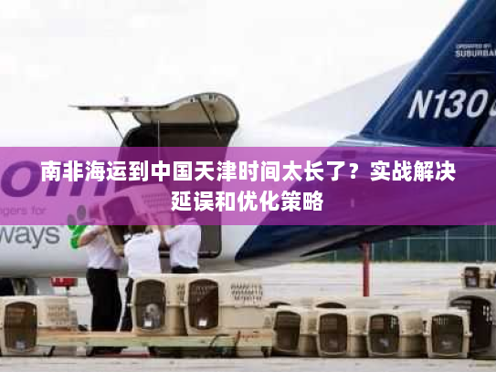 南非海运到中国天津时间太长了？实战解决延误和优化策略