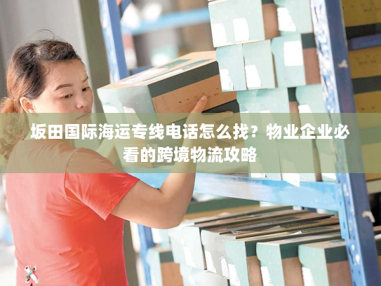 坂田国际海运专线电话怎么找?物业企业必看的跨境物流攻略 坂田国际海运专线电话怎么找?物业企业必看的跨境物流攻略