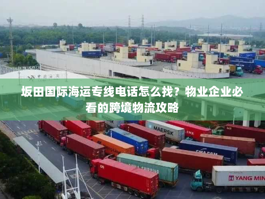 坂田国际海运专线电话怎么找?物业企业必看的跨境物流攻略 坂田国际海运专线电话怎么找?物业企业必看的跨境物流攻略
