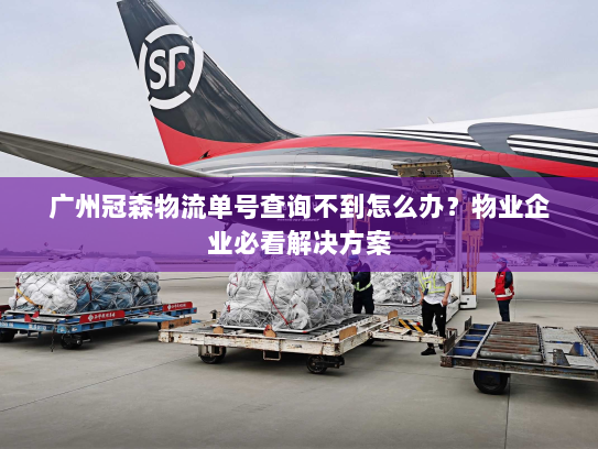 广州冠森物流单号查询不到怎么办?物业企业必看解决方案 广州冠森物流单号查询不到怎么办?物业企业必看解决方案