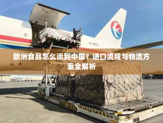 欧洲食品怎么运到中国?进口流程与物流方案全解析 欧洲食品怎么运到中国?进口流程与物流方案全解析
