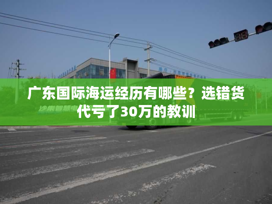广东国际海运经历有哪些？选错货代亏了30万的教训
