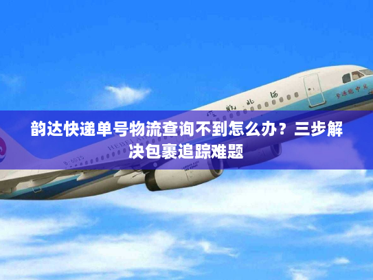 韵达快递单号物流查询不到怎么办?三步解决包裹追踪难题 韵达快递单号物流查询不到怎么办?三步解决包裹追踪难题