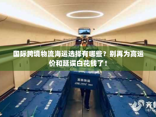 国际跨境物流海运选择有哪些?别再为高运价和延误白花钱了! 国际跨境物流海运选择有哪些?别再为高运价和延误白花钱了!
