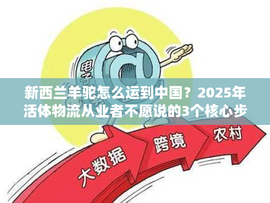 新西兰羊驼怎么运到中国？2025年活体物流从业者不愿说的3个核心步骤