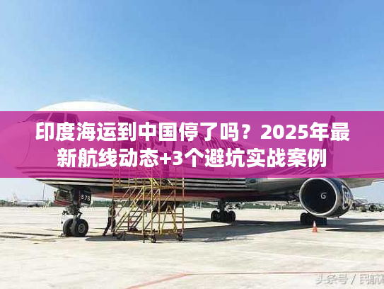 印度海运到中国停了吗？2025年最新航线动态+3个避坑实战案例