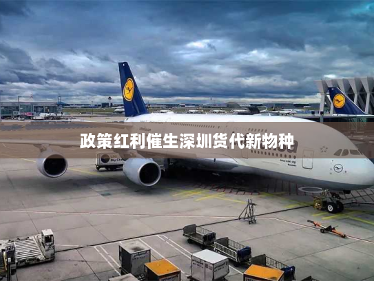 政策红利催生深圳货代新物种 政策红利催生深圳货代新物种