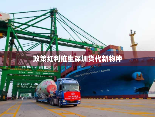 政策红利催生深圳货代新物种 政策红利催生深圳货代新物种