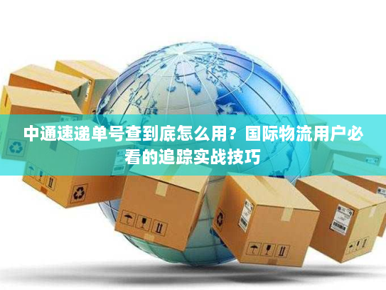中通速递单号查到底怎么用？国际物流用户必看的追踪实战技巧