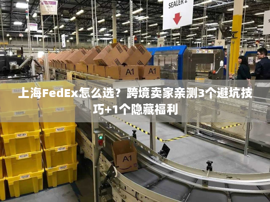 上海FedEx怎么选？跨境卖家亲测3个避坑技巧+1个隐藏福利