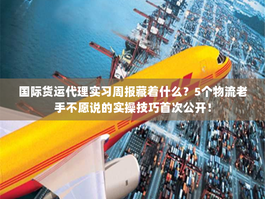 国际货运代理实习周报藏着什么?5个物流老手不愿说的实操技巧首次公开! 国际货运代理实习周报藏着什么?5个物流老手不愿说的实操技巧首次公开!