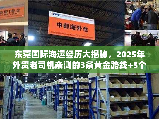 东莞国际海运经历大揭秘，2025年外贸老司机亲测的3条黄金路线+5个避坑要点