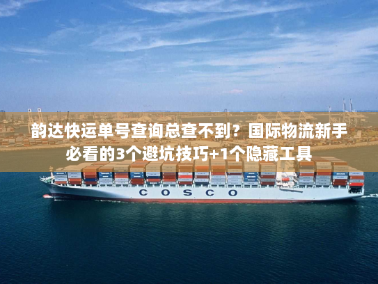 韵达快运单号查询总查不到？国际物流新手必看的3个避坑技巧+1个隐藏工具